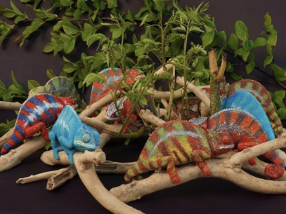 Production result: chameleon sculpture